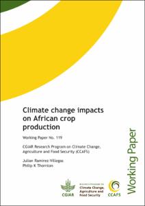 Climate change impacts on African crop production